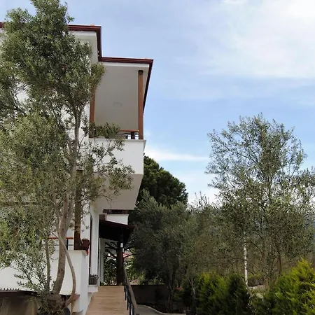 Beyaz Güre