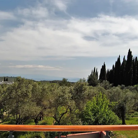 Beyaz Guere * 에드레미트